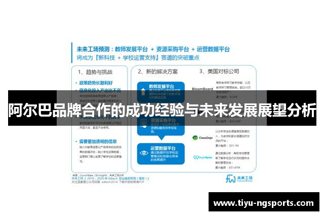 阿尔巴品牌合作的成功经验与未来发展展望分析