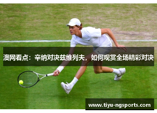澳网看点：辛纳对决兹维列夫，如何观赏全场精彩对决